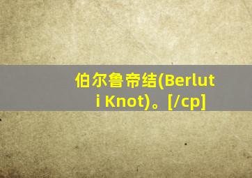 伯尔鲁帝结(Berluti Knot)。[/cp]